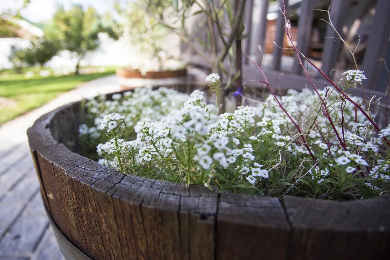 The Browns' - Luxury Suites Dullstroom Extérieur photo